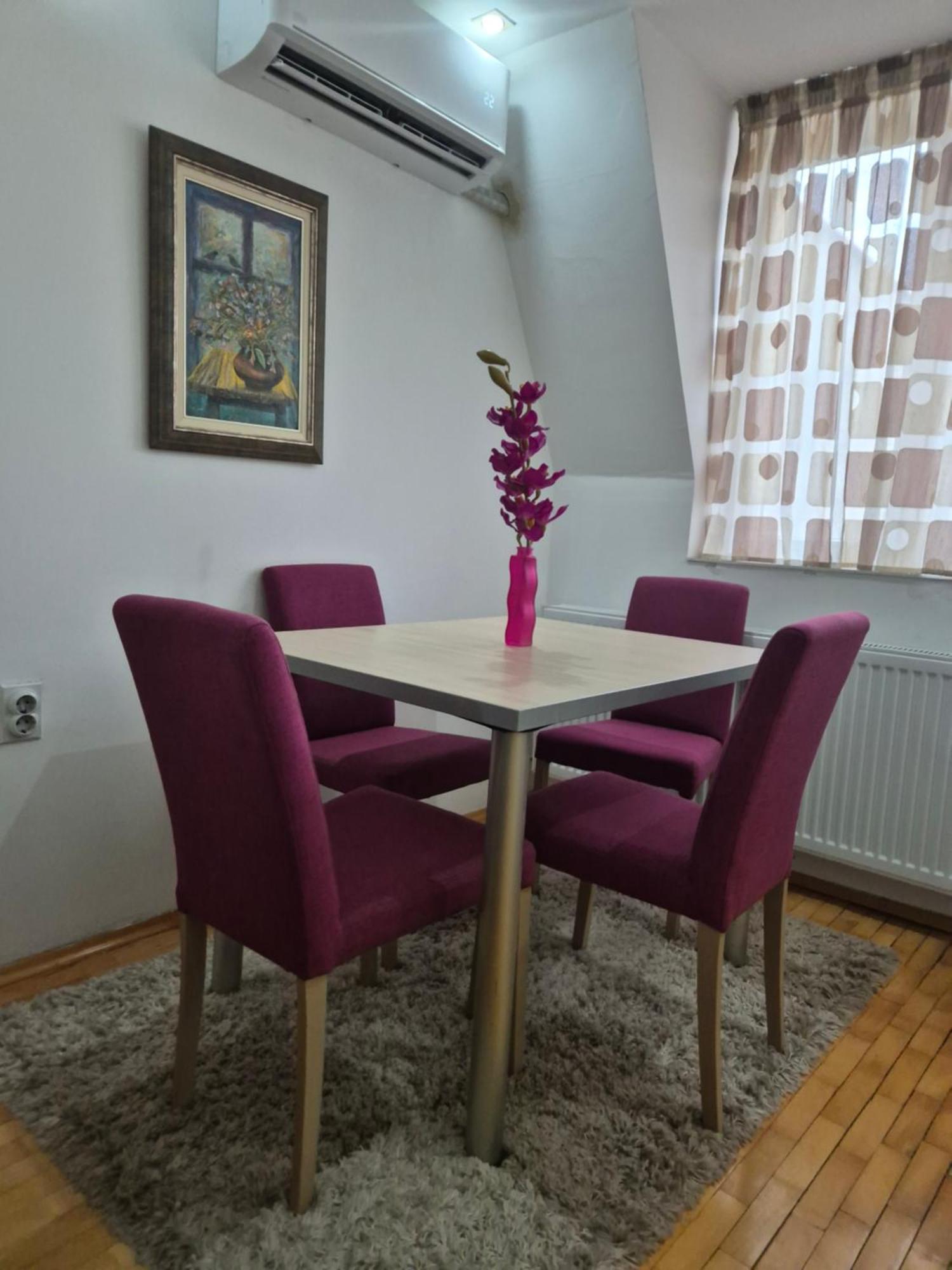 Vortex Apartment 斯科普里 外观 照片